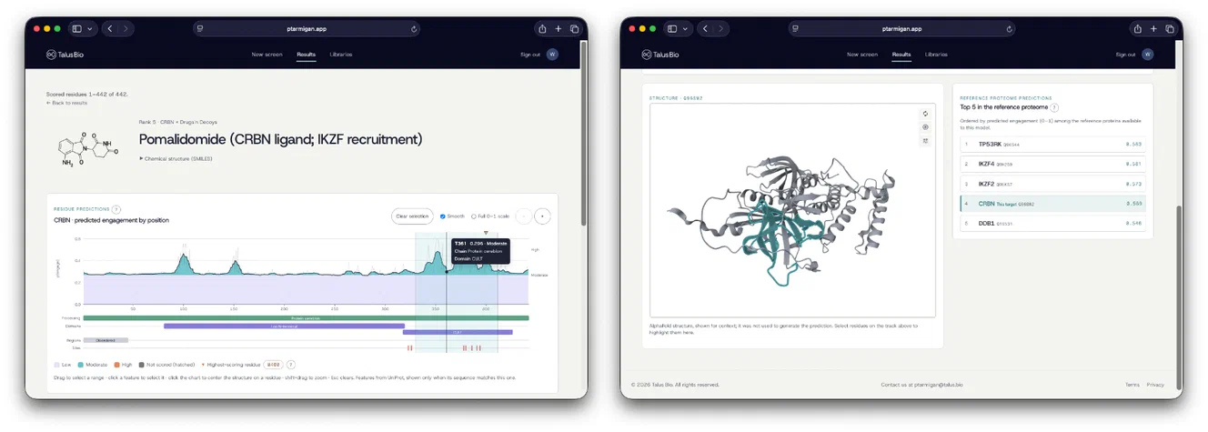 Ptarmigan-1 results for pomalidomide, showing predicted engagement along CRBN residues, a protein structure, and predictions across other proteins.