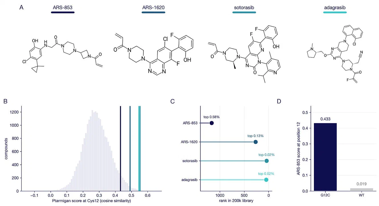 Four panels: chemical structures of ARS-853, ARS-1620, sotorasib and adagrasib; a histogram of Ptarmigan scores across 200,000 compounds with all four drugs in the extreme right tail; a ranking chart placing them from the top 0.58% to the top 0.02%; and a bar chart where the ARS-853 score falls from 0.433 on G12C to 0.019 on wild type.